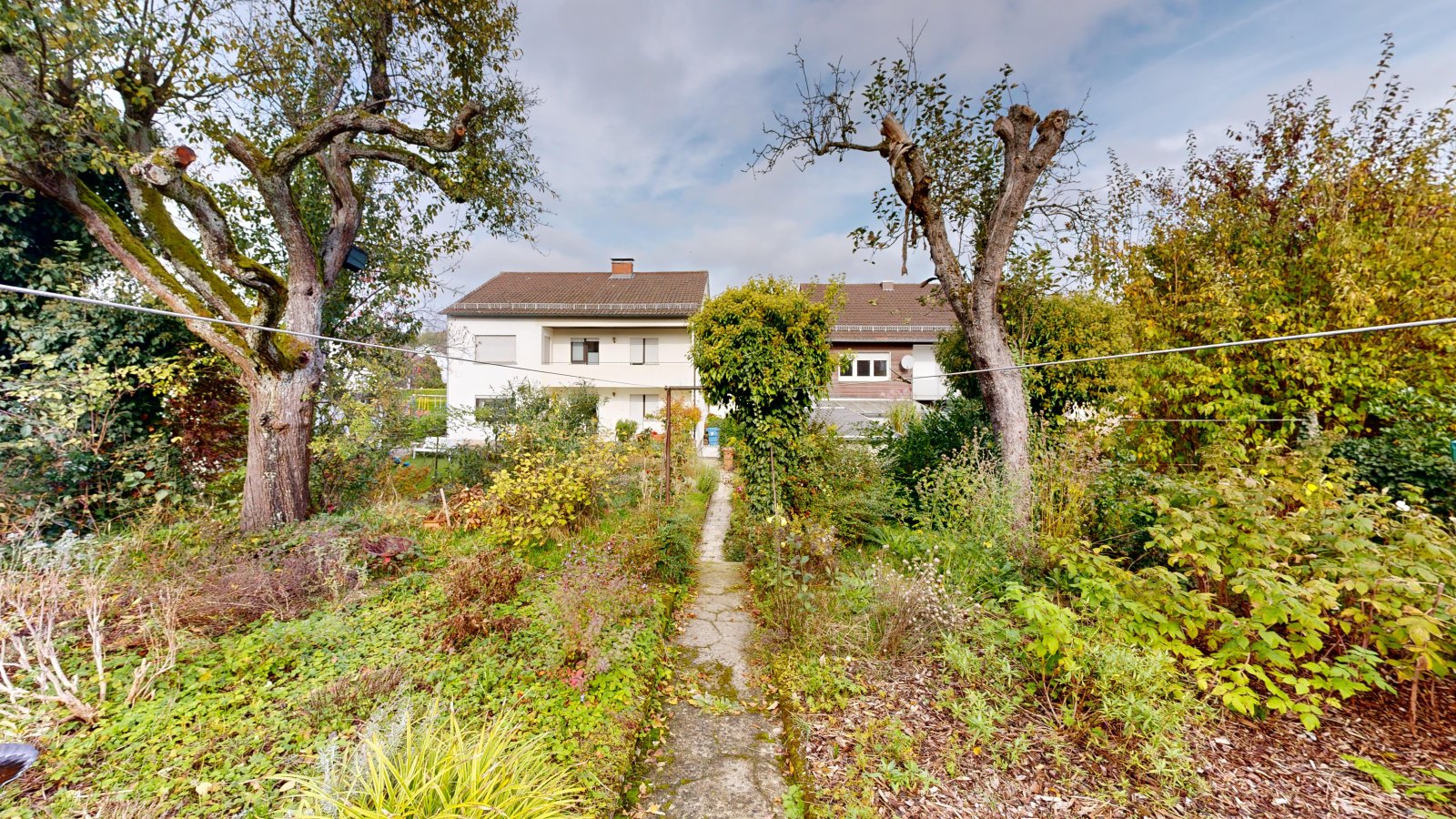 garden garden