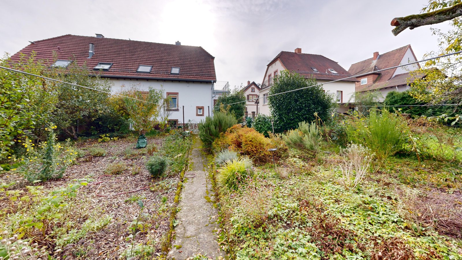 garden garden