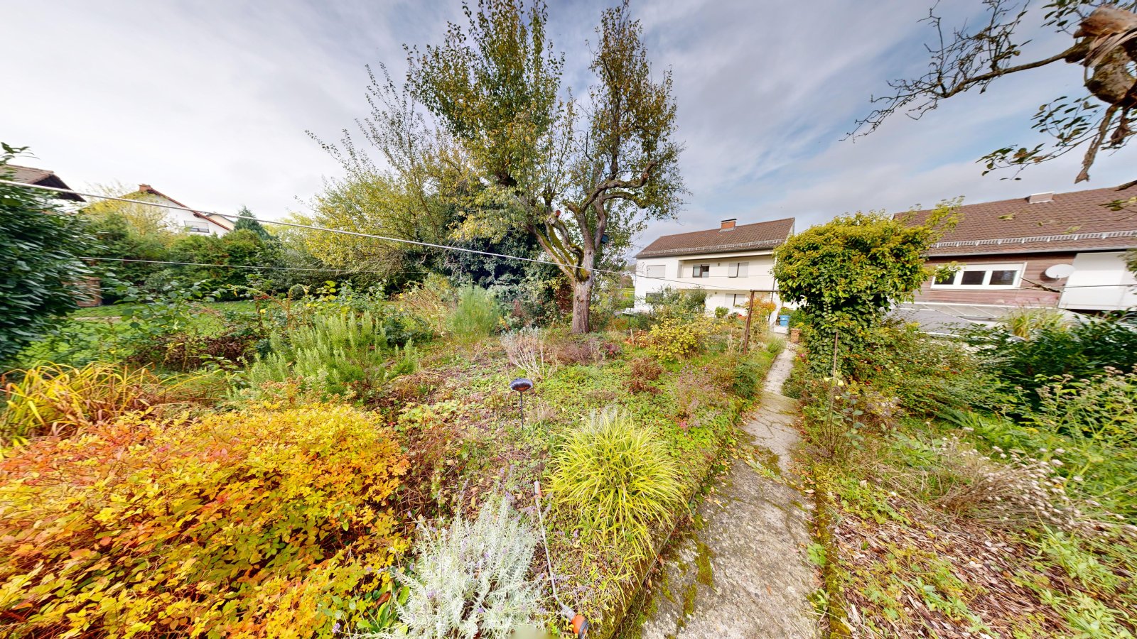 garden garden