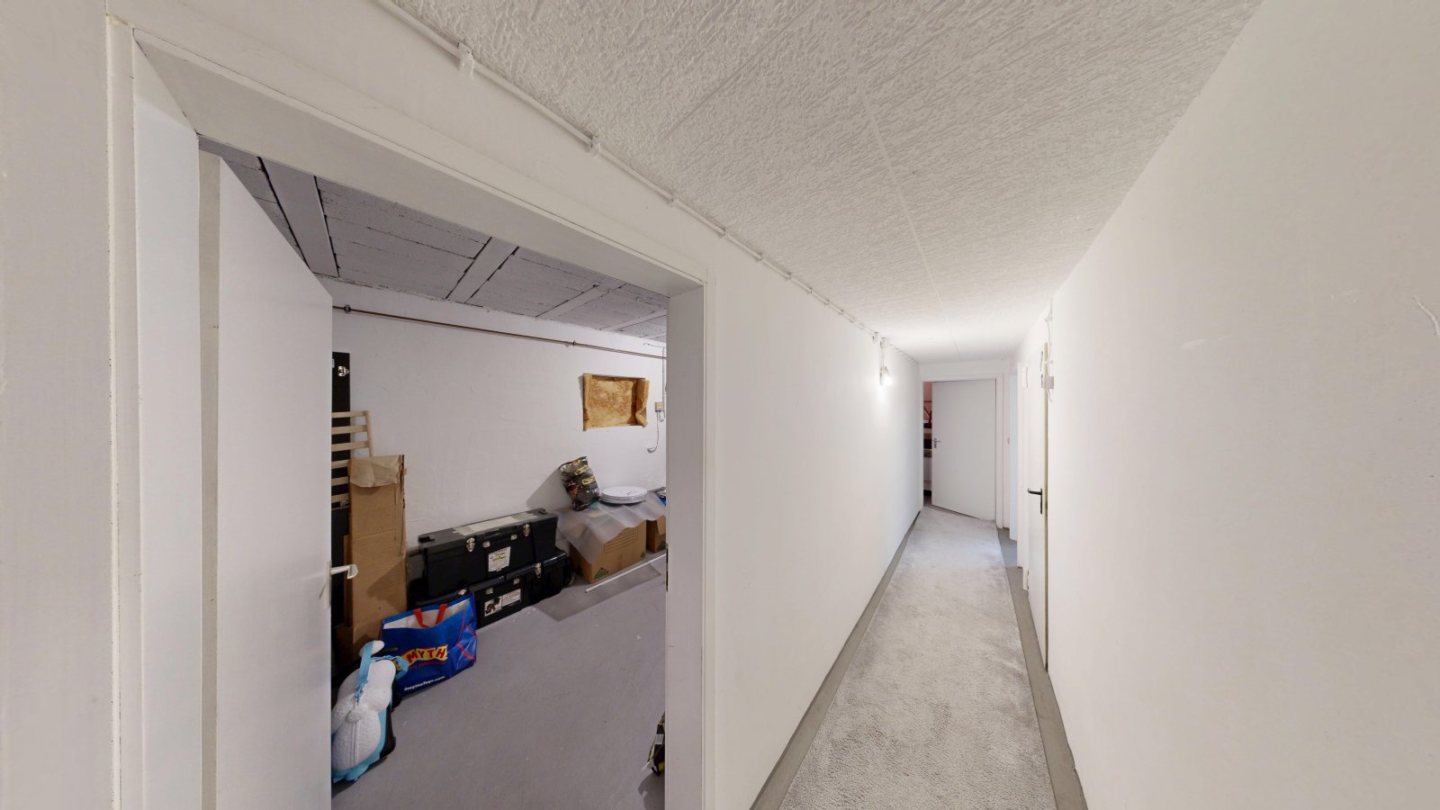 hallway | basement hallway | basement